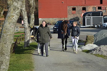 D-stevne Rogaland Rideklubb 02-03.november 2019